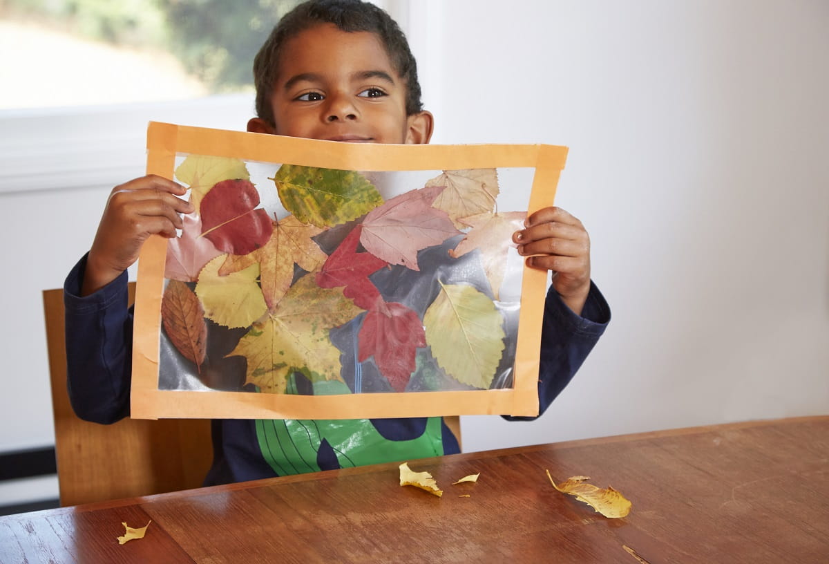 Fall Leaf Sticky Window Activity (with an alternative to contact