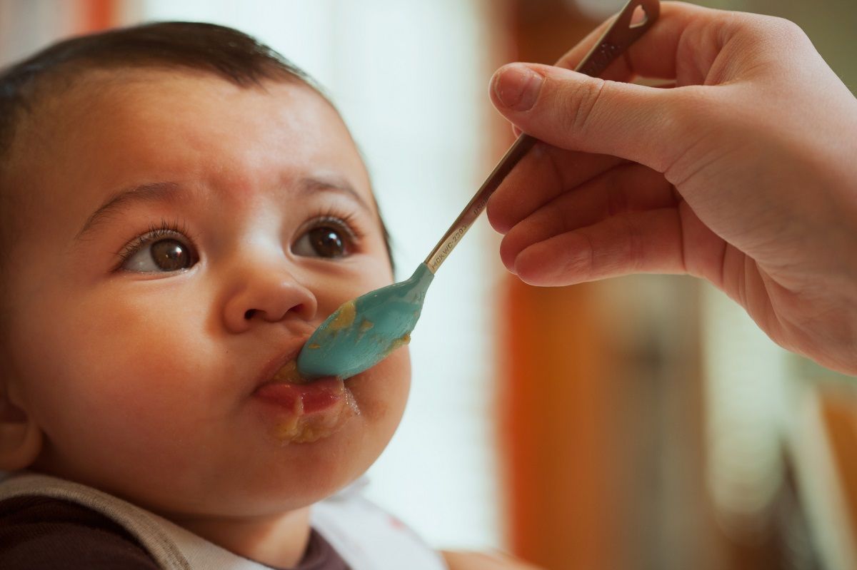 Homemade Baby Food Create A Good Eater For Life