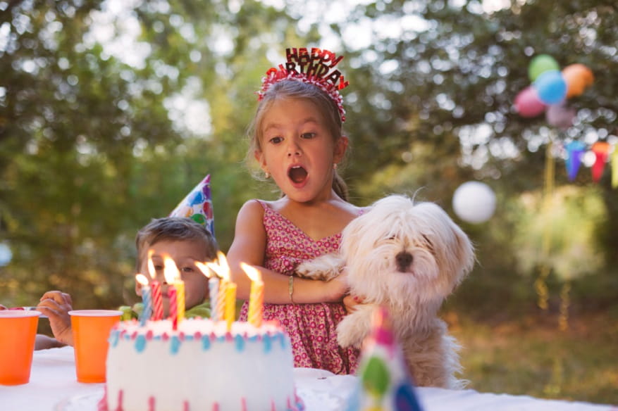 7-year-old gets a special birthday surprise from her neighbors